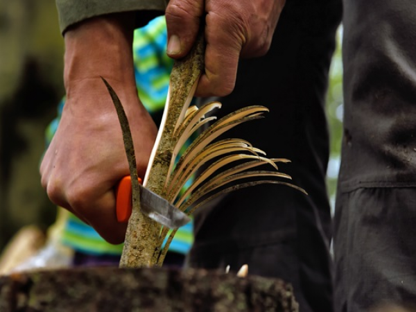 Carve a Spatula Workshop