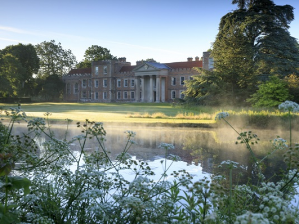 Cream tea & talk: Layers of Jane