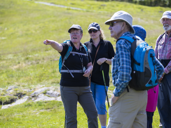 Monthly Guided Walk at Lyveden
