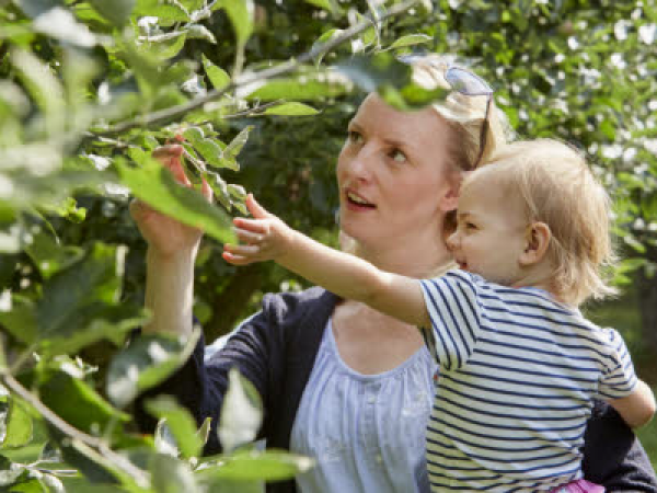 Autumn Explorers - fun for pre-schoolers