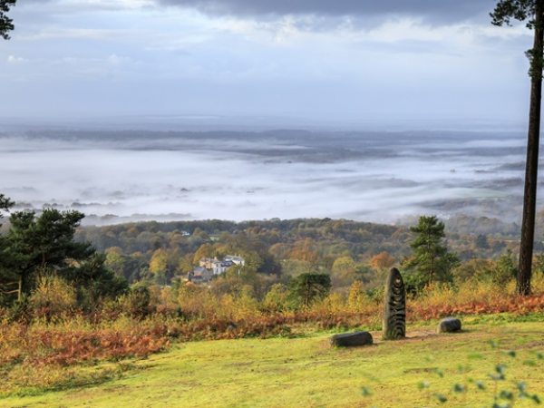 Leith Hill double guided walk