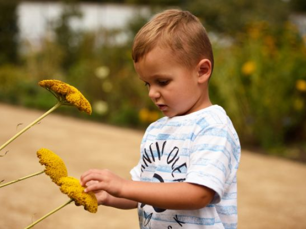 Little Explorers Yoga & Craft for 2 - 4 year old