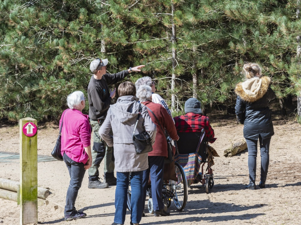 Dawn Chorus Walk & Talk