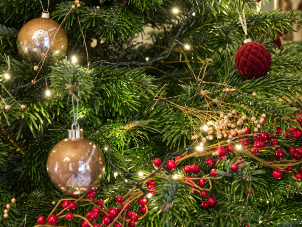 Christmas Carol Concert - Sheffield Park and Garden