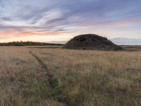 Winter Solstice Anglo-Saxon Myth and Magic Tour