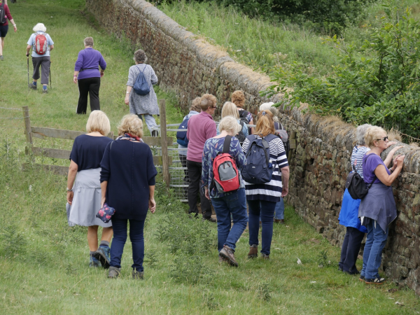 Walk the walls at Lyme - free guided walk