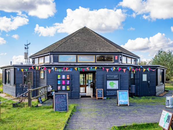 Seasonal Lino Printing Workshop