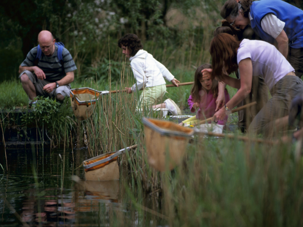 Grass Printing Workshop