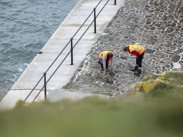 Mullion Harbour, Lime Pointing Sessions