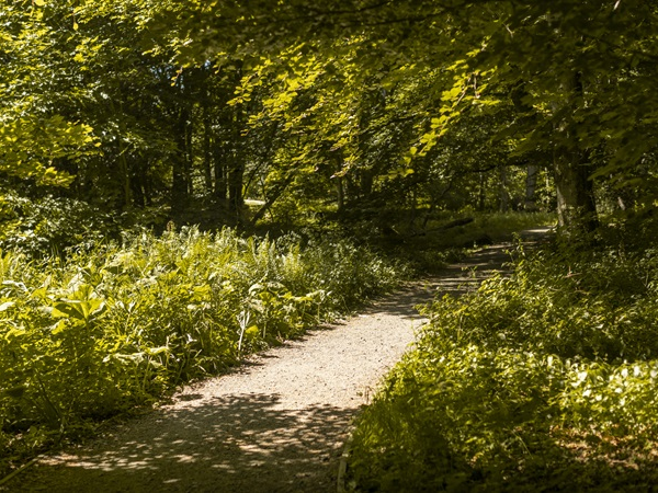 Martens on the Move launch event at Wallington - guided walks
