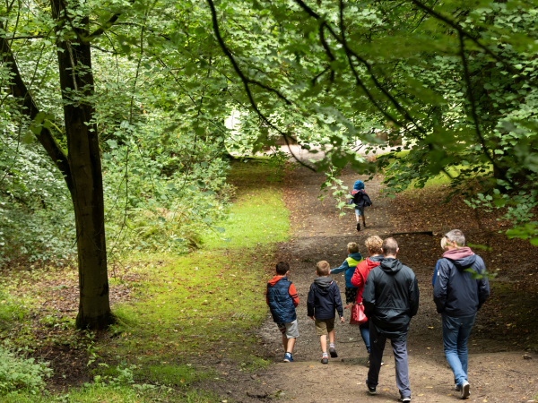 Great Big Green Week - Tree ID and Woodland Workshop