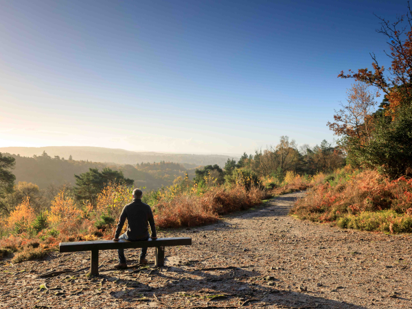 Hindhead's Secret Military History Walk