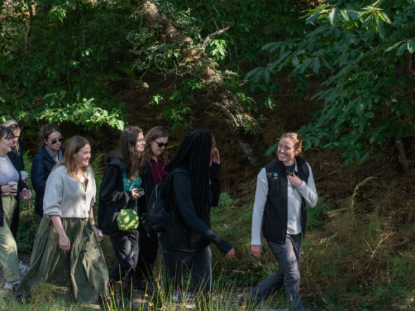 Free Guided Wellbeing Walk: Manor Wood-Community Forest