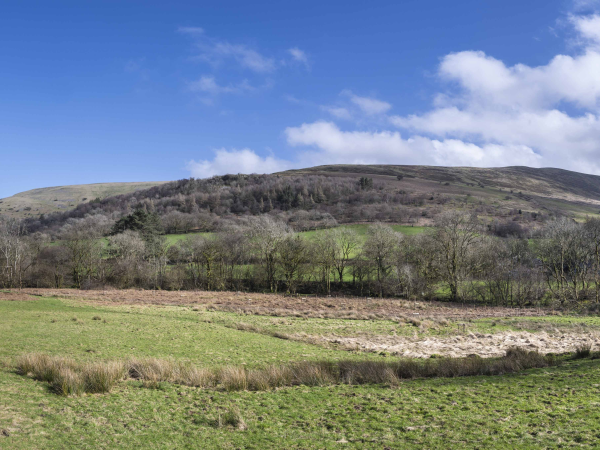Wildlife Walk at Ty Mawr Farm