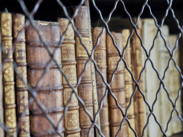 Specialist Book Tours 2025