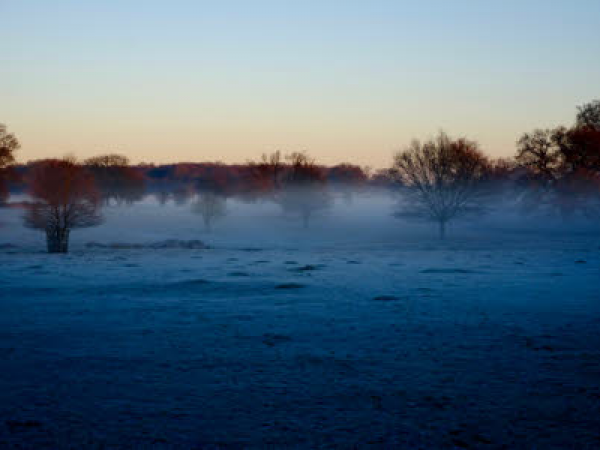 Yoga - Hatfield Forest