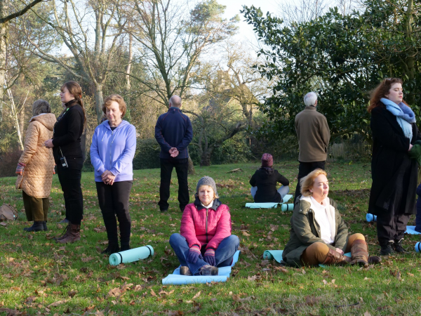Shinrin-yoku - The Japanese art of Forest Bathing