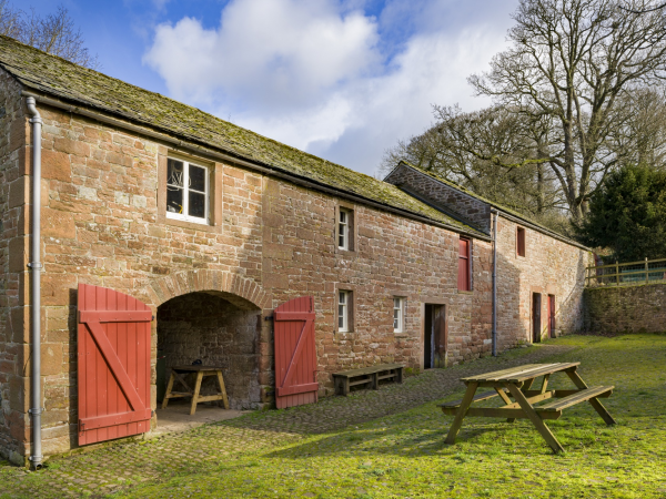 Herb Garden Walk and Tea Tasting Experience