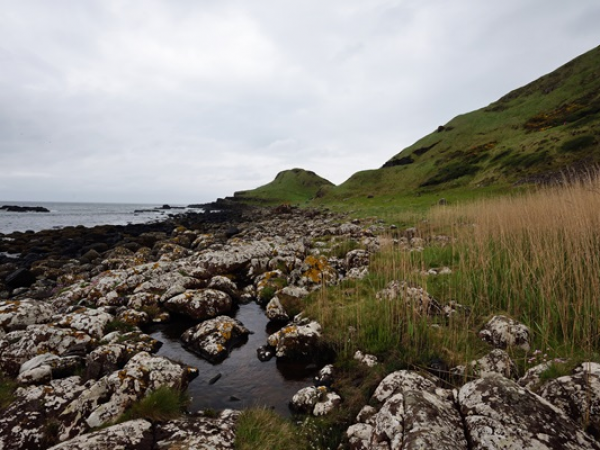 Giant Experience Tour: Nurturing Nature