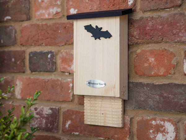 October Half-Term - Family Bat Box Building