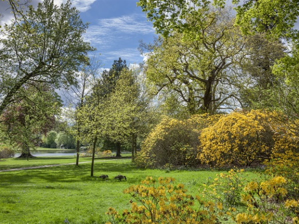 Claremont's Conifer Collection Walk