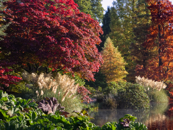 Autumn Colour Photography Workshop: Advanced
