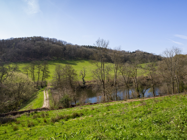 Paint Along with Trevor Waugh at Woodchester Park