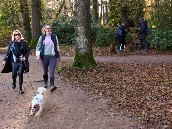 New Parents Walk-Plant a Tree in Ashclyst Forest
