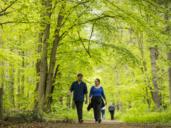 Wellbeing Walks in Comer Woods
