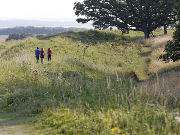 Estate Walk: Shapwick and Tarrant Crawford