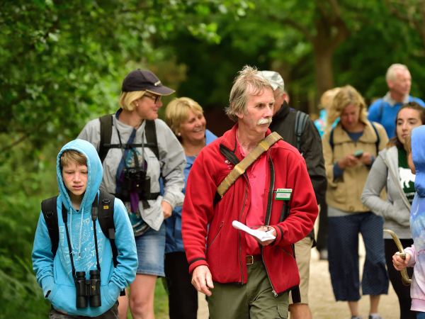 Guided Group Walk - From the Bottom to the Top