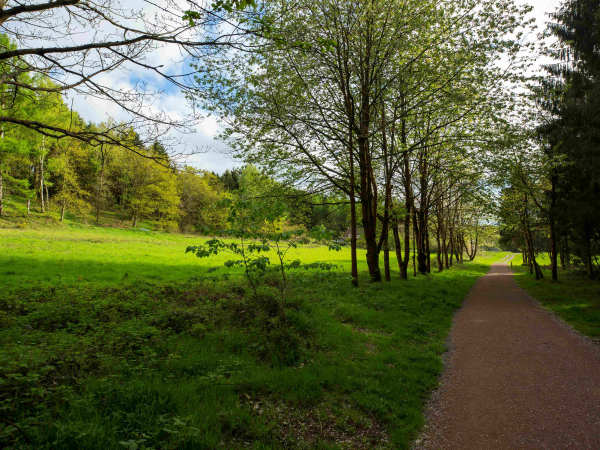 Family photography workshops - Summer of Play in Comer Woods