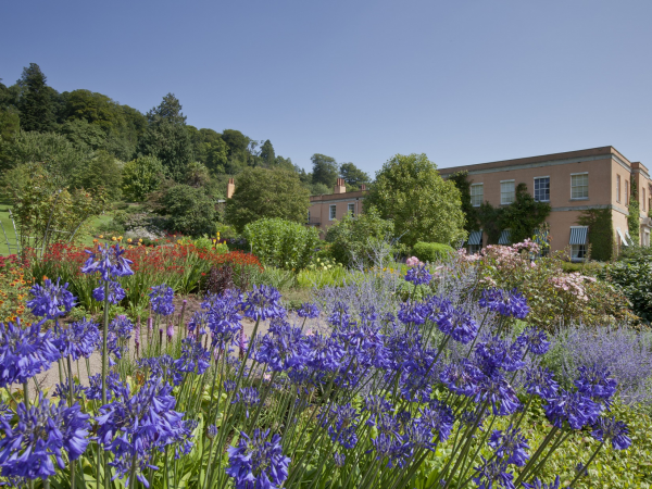 Blossom Yoga at Killerton