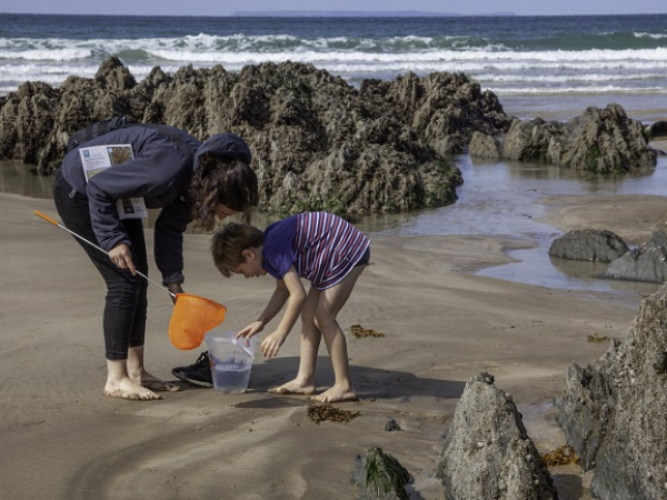 Night-time Rockpool Ramble at Combesgate Beach