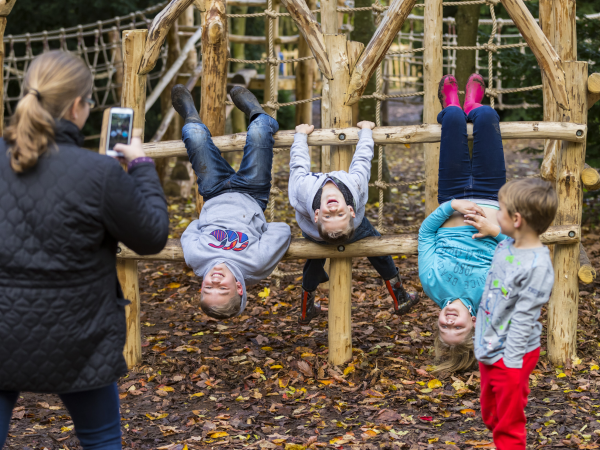 Summer of Play: Teddy bear zip wire