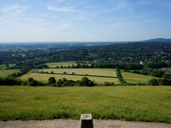Dorking to Box Hill Guided Hike