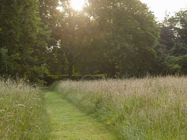 North Downs guided walk