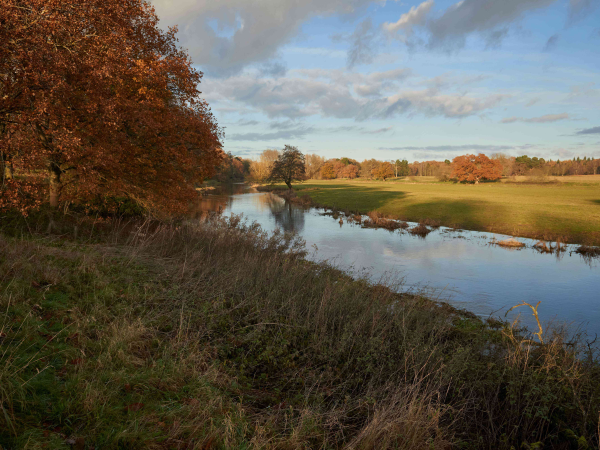 Deep Listening Walk - The Sound of Water- Nature Weekend | Water