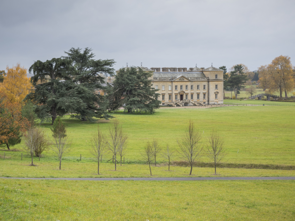 Yoga in the Long Gallery