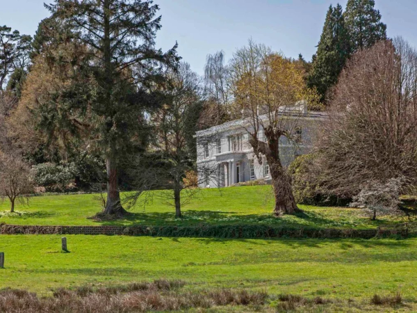Trees - a guided walk at Parke