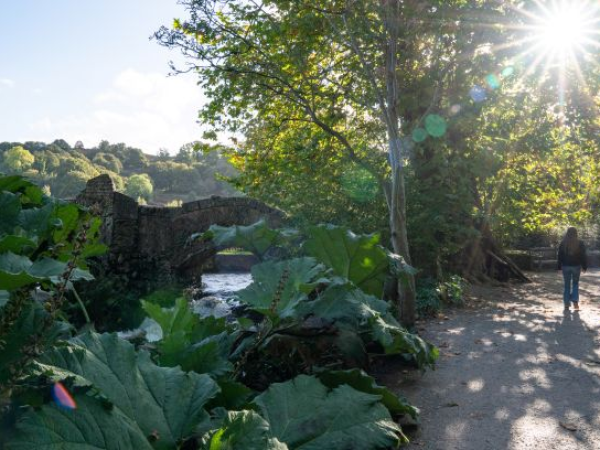 'Mediterranean Mile': Guided Garden Tour
