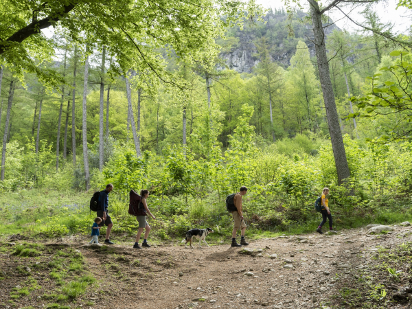 A one year anniversary walk through the Borrowdale Rainforest NNR