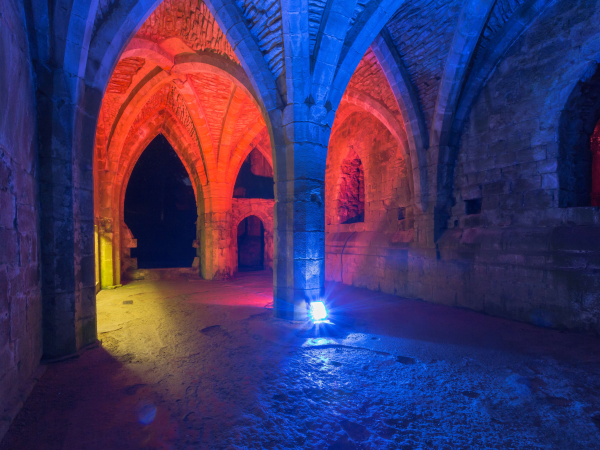 Fountains by Floodlight
