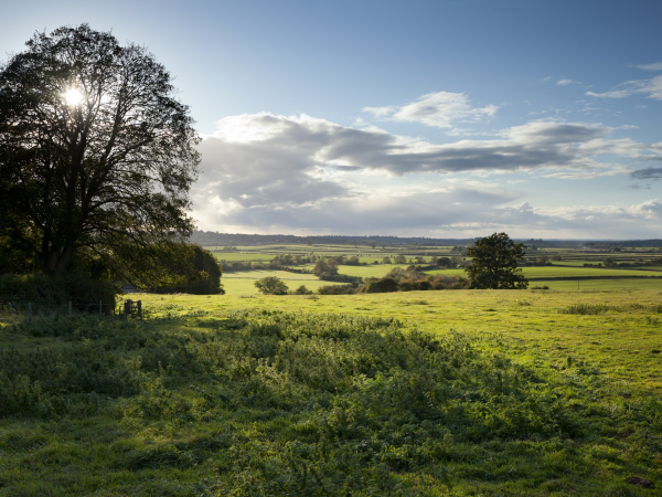 Natures Estate: Dawn Chorus Walk