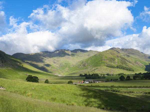 Open Farm Sunday at Millbeck Farm