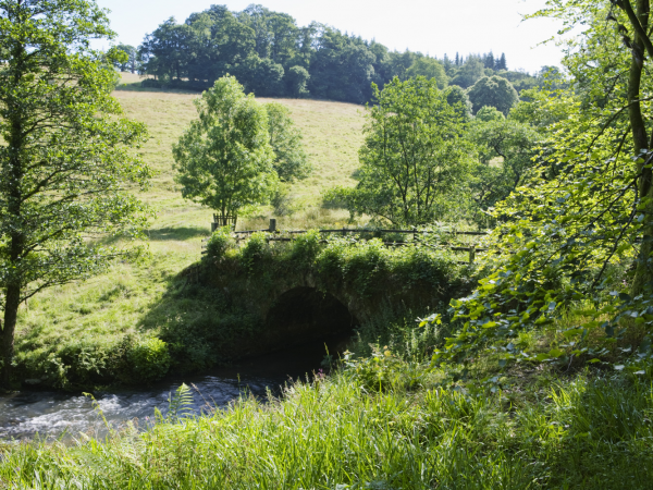 North Devon Walking Festival -  A history of the local landscape