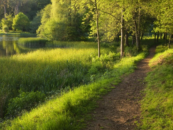 River Severn Walk