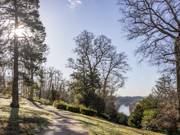 Dog Walk at Cliveden with Clare Balding