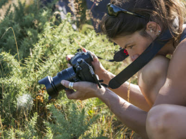Landscape Photography Workshop