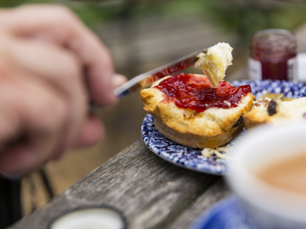 September Garden Tour and Cream Tea with the Head Gardener
